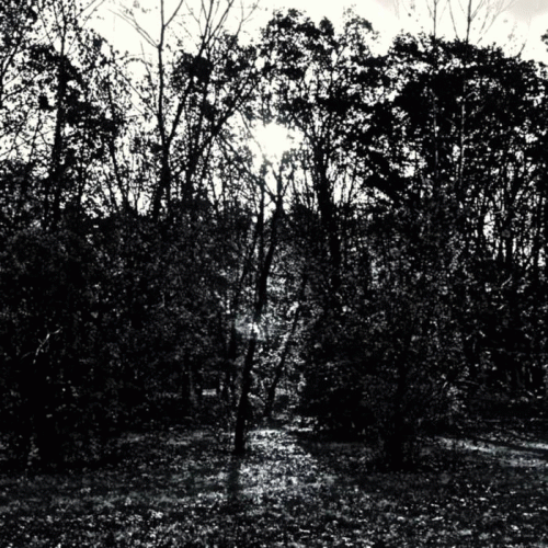 Burden (USA-2) : Burden (Demo)